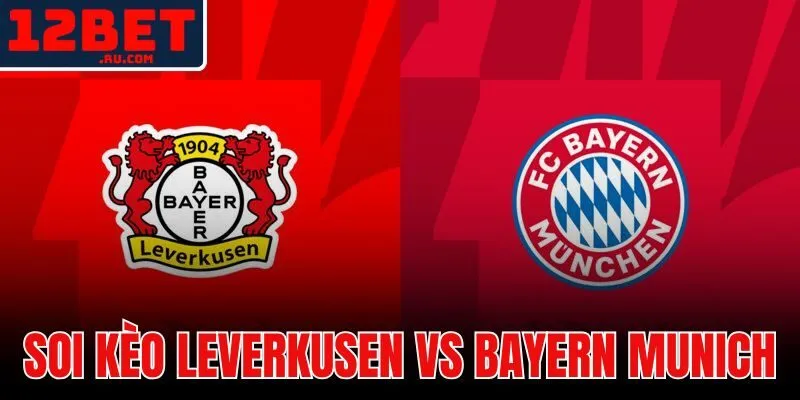 Soi Kèo Leverkusen Vs Bayern Munich - Tỷ Lệ Và Dự Đoán Mới Nhất 1 Soi kèo Leverkusen vs Bayern Munich